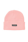 Home Town Recycled Beanie - Dose