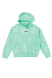 Worn Jade Eternal Recycled Pull On Hood - Dose